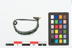 Foto von Bronzebogenfibel (NHMW-PRAE-026332)